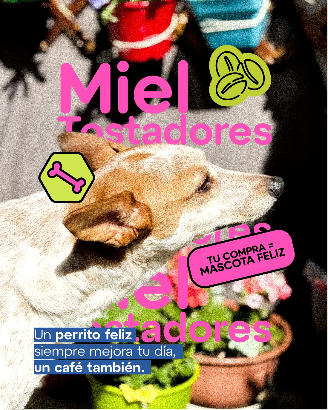 Miel perra protagonista de la marca